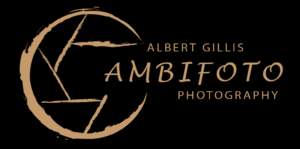 Ambifoto  Logo